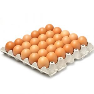 eggs