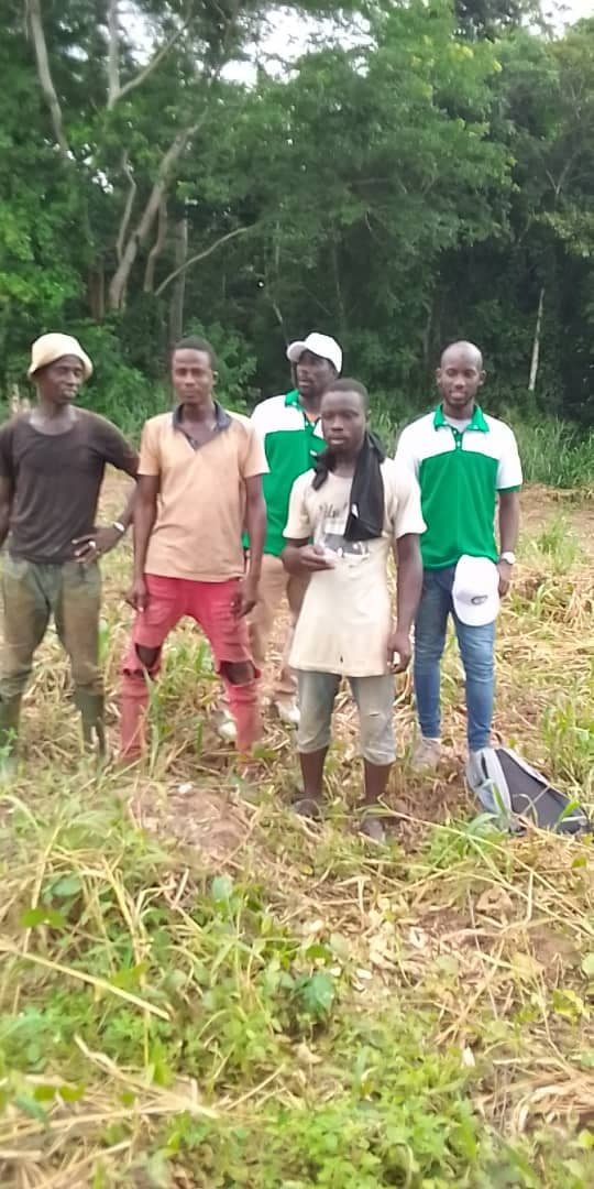 comment faire l agriculture de manioc